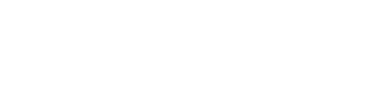 ARKANCE Advantage Logo_Reversed
