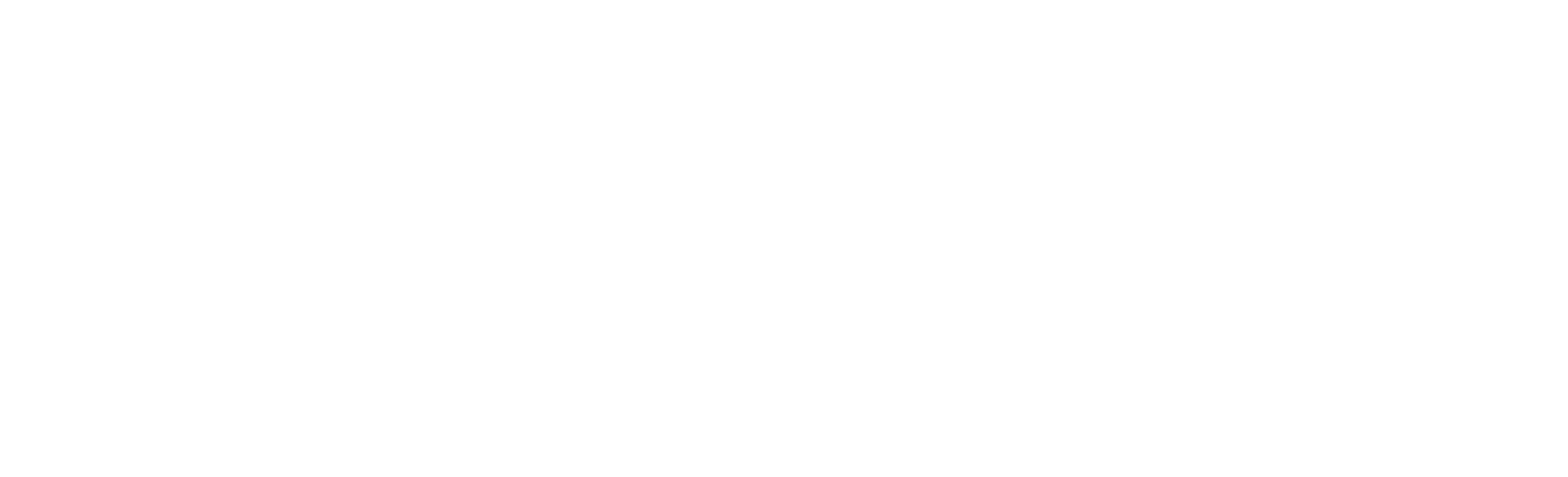 BB_Logo_White_H_Sapphire-Partner