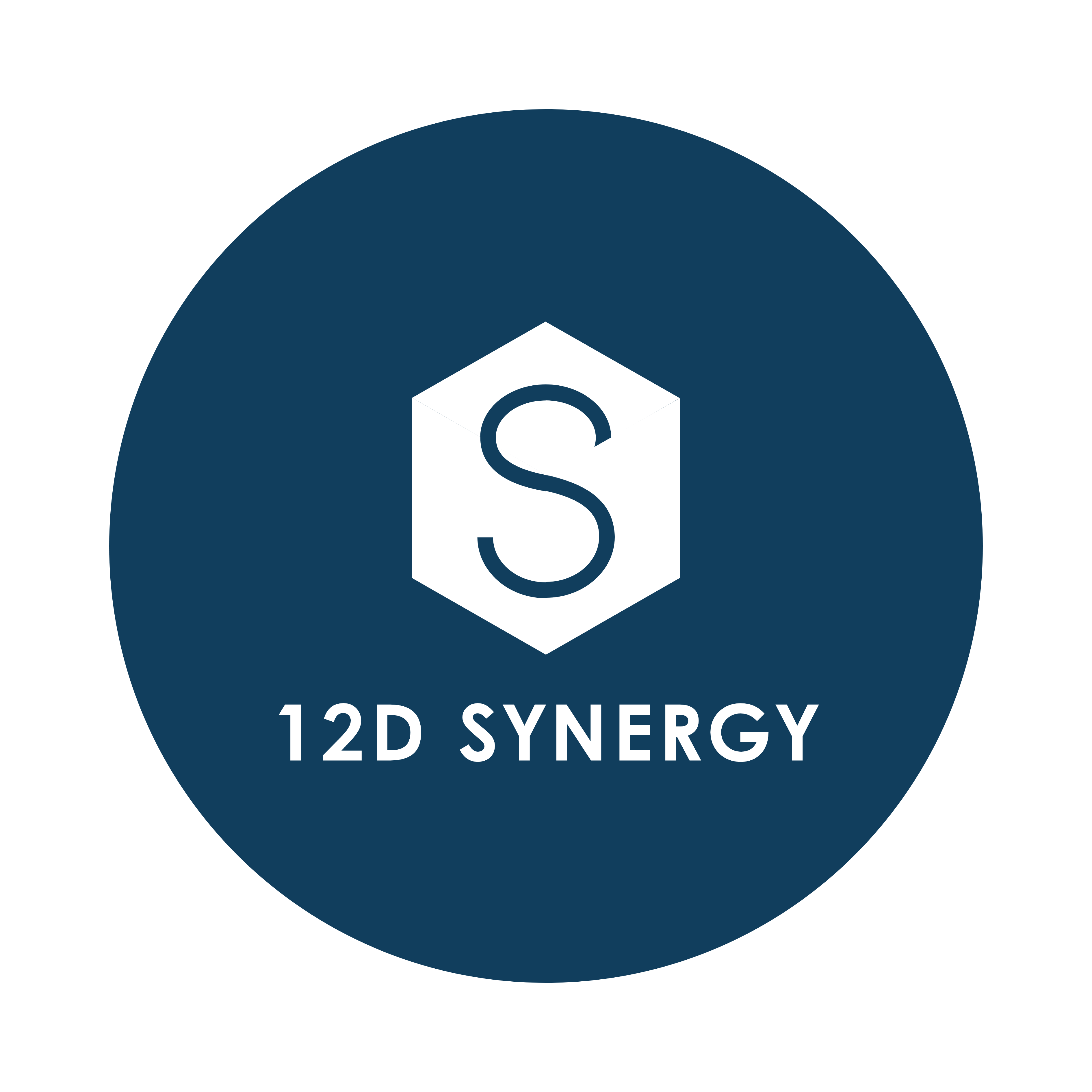 12d Synergy