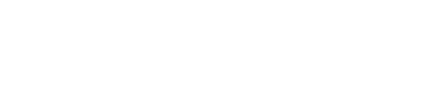 Bluebeam PP Logo White